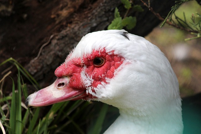 他的助攻不 他的助攻不