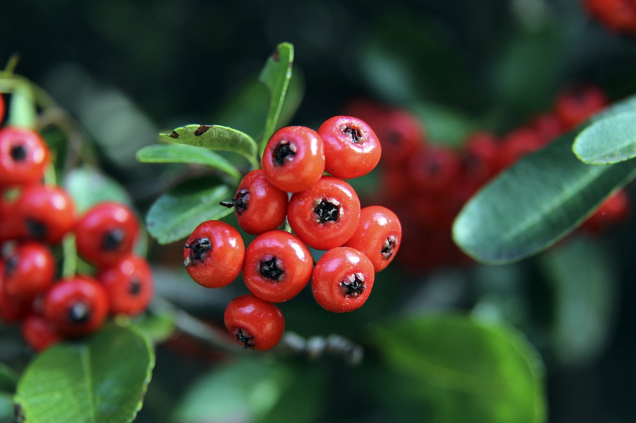 而是更强 而是更强