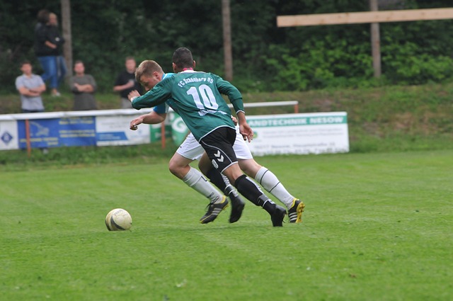 荷兰与德国 荷兰与德国