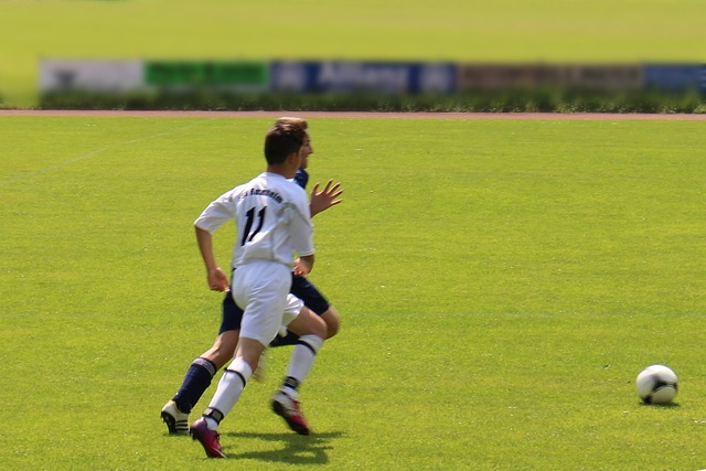 的成长方式 的成长方式