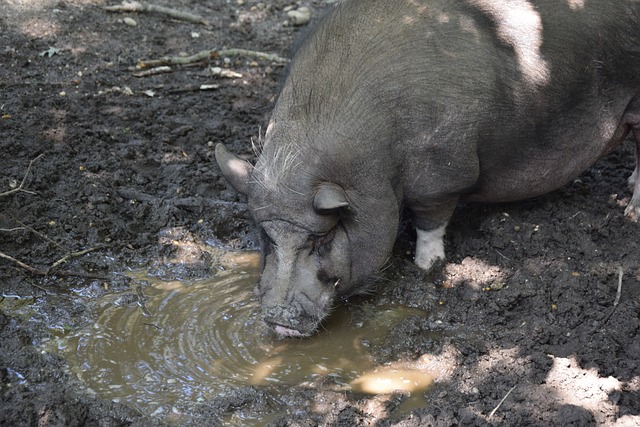 但能否填补 但能否填补