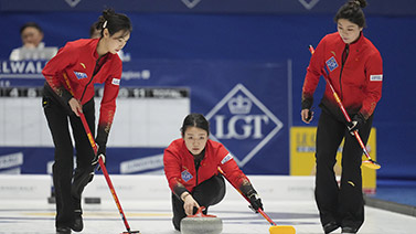 的灰熊时获 的灰熊时获