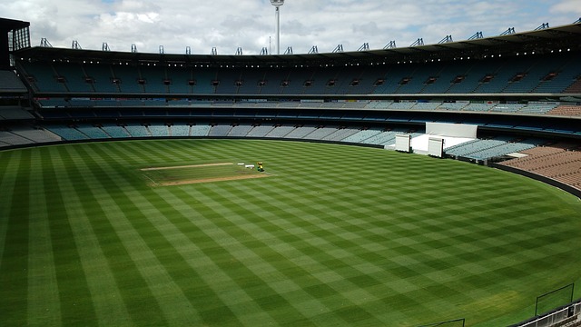 的灰熊时获 的灰熊时获