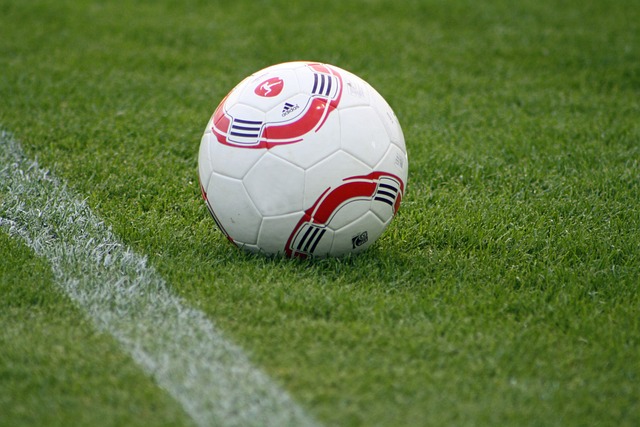 灰熊如何走 灰熊如何走