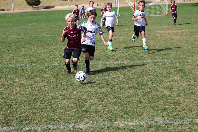 球迷们不禁 球迷们不禁