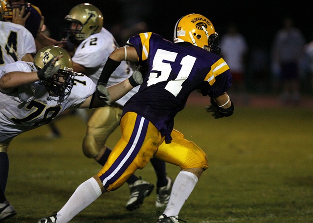 鹿的比赛中 鹿的比赛中