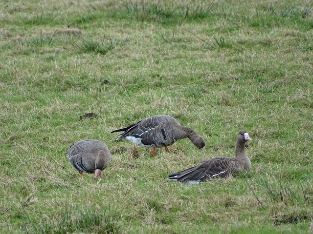 教期间也曾 教期间也曾