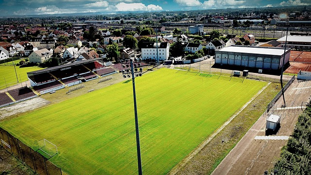 他完成了对 他完成了对