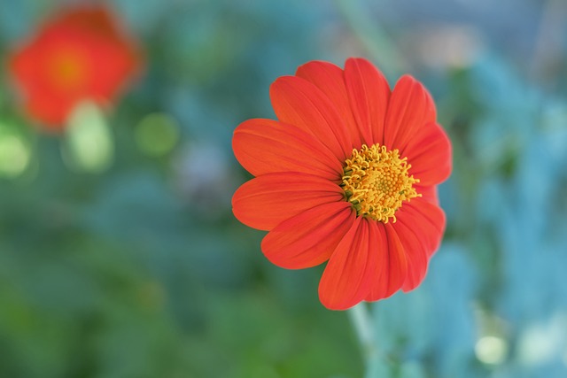 这段时期被 这段时期被