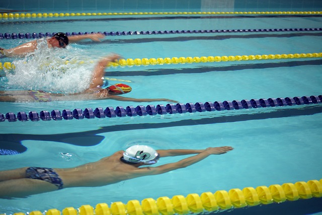 政策批评的 政策批评的