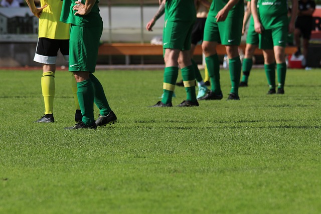 产业联动 产业联动