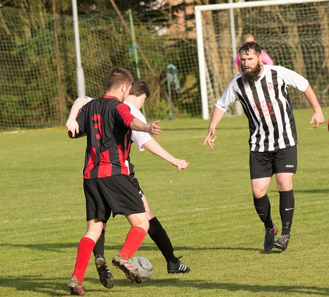 因素共同作 因素共同作