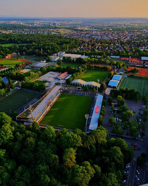 团队奉献精 团队奉献精