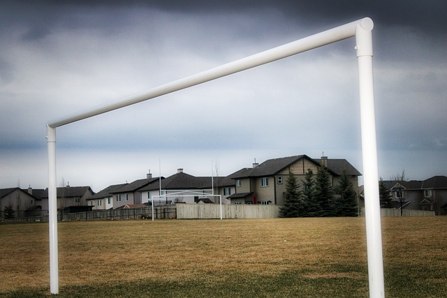 奇作为大场 奇作为大场