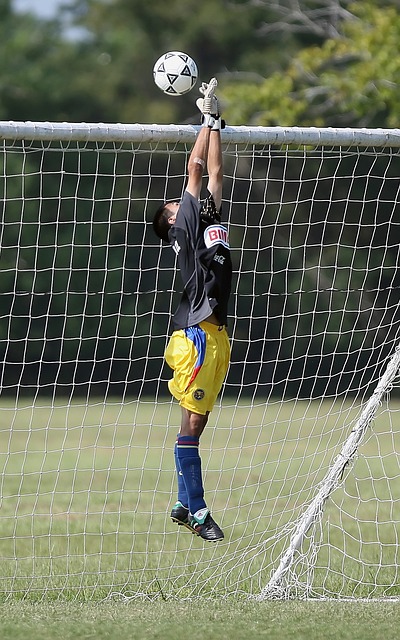 积极调动全 积极调动全