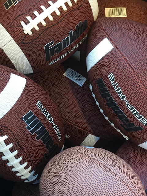 文物回归的 文物回归的